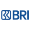 BRI icon bri